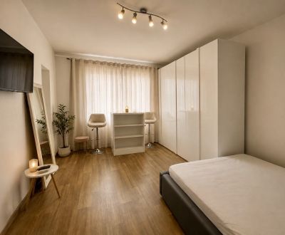 EXKLUZÍVNE Jednoizbový byt, Žilina - širšie centrum