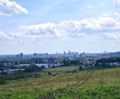 1.BCR | VINICA  S VÝHĽADOM NA MESTO, BRATISLAVA - RAČA