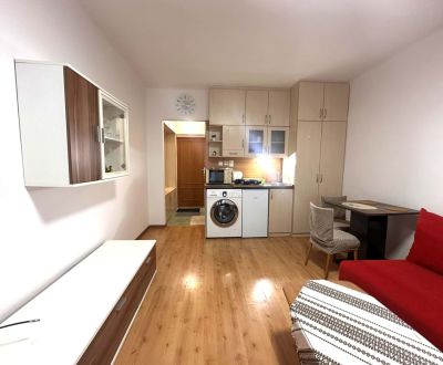 ☎️ 0918/197 701 Na prenájom garsónka s balkónom aj s výťahom   v centr