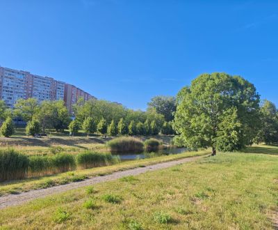 Na prenájom 1 izbový byt, 34 m2, Bratislava, Petržalka, Lachova ulica