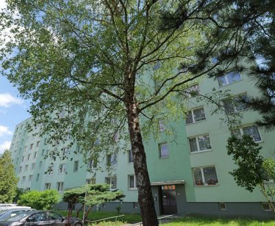 Na predaj - 3i BYT s veľkorysou výmerou - centrum PB