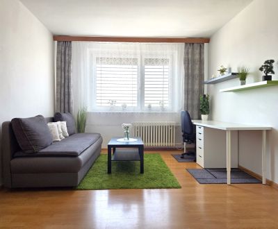 PREDAJ-svetlý 1izb byt, rekonštrukcia, samostatná kuchyňa, Ipeľská, BA
