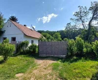 Hľadáme pre klienta gazdovský dom s pozemkom v okolí ZVOLENA