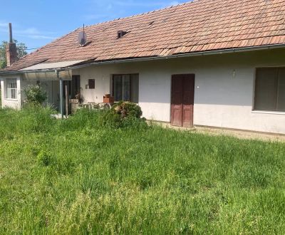 Vidiecky dom 2880m2 Nové Zámky - Veľká Maňa
