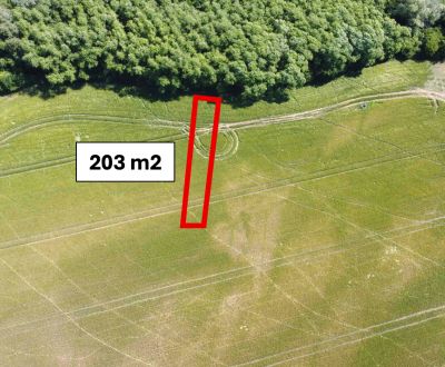 Kozárovce – 203 m2 ORNÁ PÔDA  v podiele 1/1