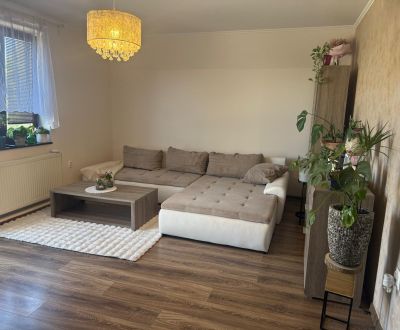 Ponúkame na predaj 4 izbový byt obci Dolné Janíky - exkluzívne
