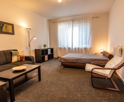 Na prenájom 1 izb. byt 42 m², klimatizovaný, Kúpeľná  ul, BA I - 1.7.
