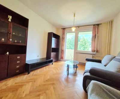 2 izbový byt 45m2, Dubnica nad Váhom, prenájom 