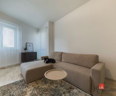 Pet-friendly 2,5i byt s výmerou 70m2, Šancová - Nové Mesto
