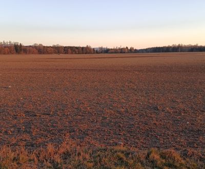 Turčianske Teplice - Diviaky - Orná pôda s výmerou 5571 m2