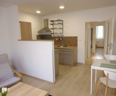 SEKČOV: KOMPLETNE zrekonštruovaný byt so zariadením, 41 m2, 3.NP 