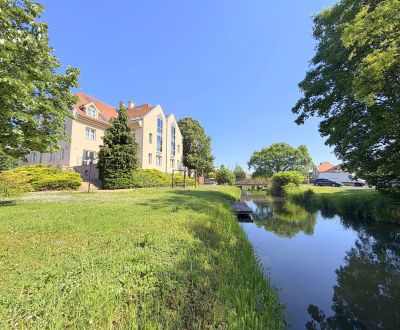 Projekt nových bytov pri vode v centre mesta Mosonmagyaróvár
