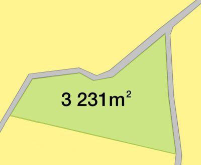 Predám Stavebný pozemok Čavoj, 3231 m2, Polosamota 