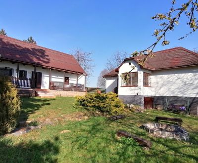 Dva vidiecke domy na pozemku 1,6ha D. Strehová (Prieloh), V. Krtíš.