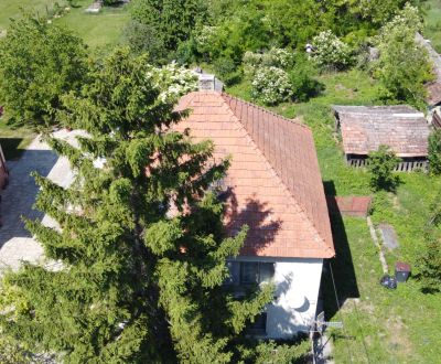 Rodinný dom a veľký pozemok na predaj v Patinciach
