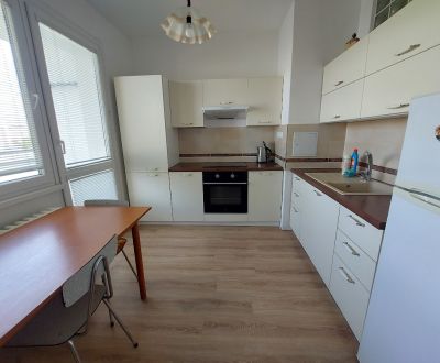 PRENÁJOM: VEĽKÝ 1,5 IZBOVÝ BYT S LOGGIOU, SÁSOVÁ