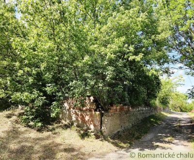 482 m2 pre nový dom v obci Pastovce, okres Levice
