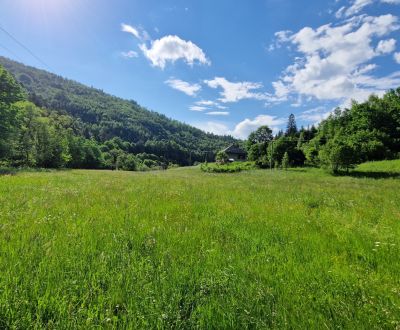 Ranč, farma alebo chalupa? Rodinný dom s 12 622 m² pozemkom pri lese