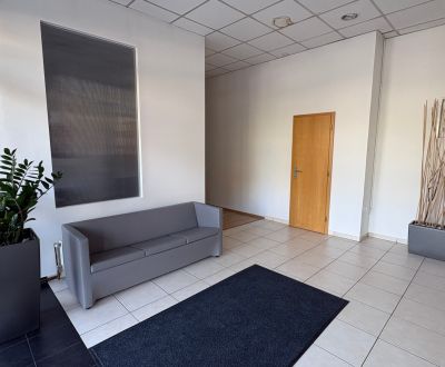 Prenájom obchodno-kancelárskeho priestoru v Petržalke, 241,5 m2