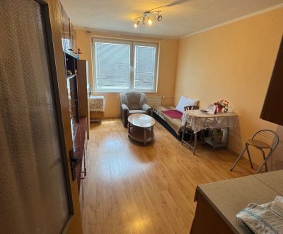 Na predaj Garsônka, 24,5 m2, s perfektnou polohou. 