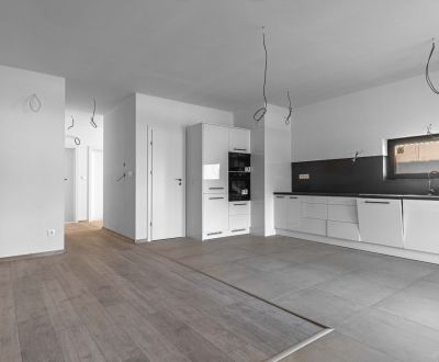 Na predaj nový moderný 4-izbový rodinný dom s terasou a záhradou