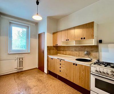 3-izbový byt s veľkou loggiou