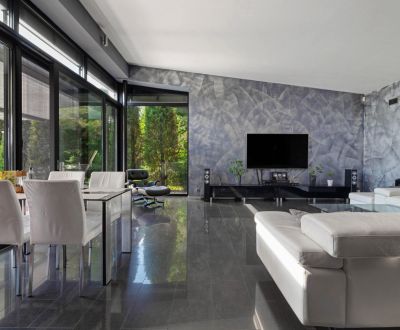 ARCHITEKTÚRA TICHA A MODERNÝCH TECHNOLÓGIÍ - SMART VILLA V OBJATÍ LESA