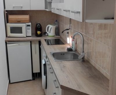 1-izb. byt, Krížná ul., Staré Mesto s veľkou lodžiou