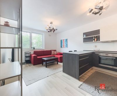 Moderný 2-izbový byt s terasou pri Železnej studničke