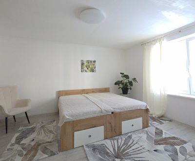 PRENAJATÉ 3 izbový byt v rodinnom dome v Trnave