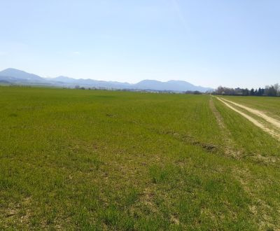 MARTIN- Záturčie pozemok na developerské a komerčné účely 4662 m2