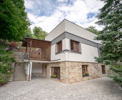 NADŠTANDARD - RD s 2 bytovými jednotkami - Trenčianske Teplice