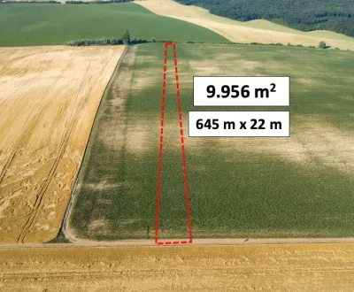 Pastuchov (Hlohovec) - 9.956 m2 ORNÁ PÔDA v komasácii