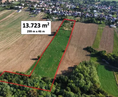 Farma / Chov koní pri Hlohovci - 13.700 m2 POZEMOK NA PREDAJ