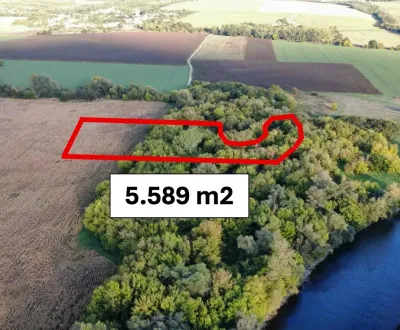 Bíňa - 5.589 m2 ORNÁ PÔDA a LES, podiel 1/1 