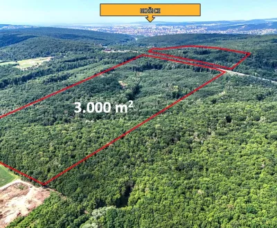 Košice – 3.000 m2 LESNÉ POZEMKY 