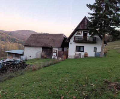 Samota Nová Baňa – Štále s hospodárskymi stavbami 