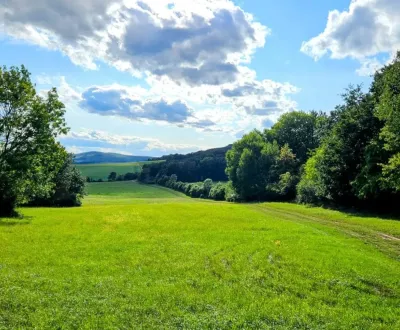 Veľké Raškovce – 3.799 m2 POĽNOHOSPODÁRKA PÔDA a LESY