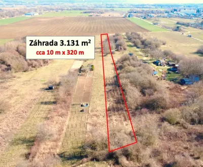 3.130 m2 ZÁHRADA v širšom centre Štúrova