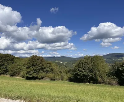 Hankovce – 2.359 m2 LESNÉ a INVESTIČNÉ pozemky – Predaj