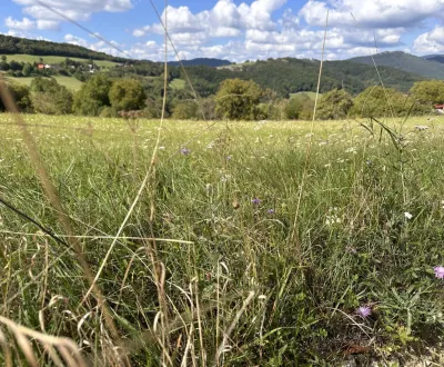 Poniky – 3.567 m2 POĽNOHOSPODÁRSKA pôda a LESY - Predaj