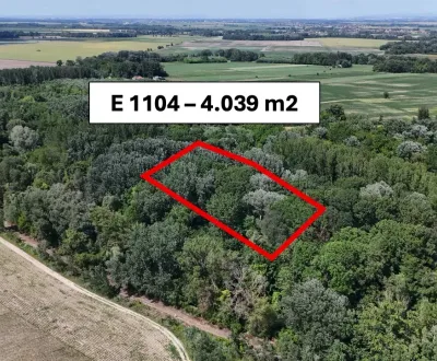 Orechová Potôň  2.918 m2 Lesný a Poľnohospodársky pozemok