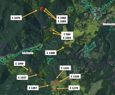 Motyčky – 19.500 m2 LESY a ORNÁ PÔDA