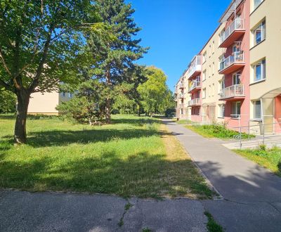 REZERVOVANÉ -  2-izbový byt na prízemí (49,46 m²) Senica - Centrum