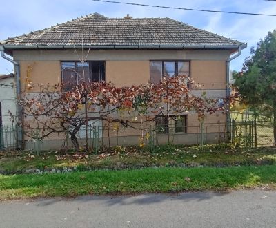 Dom v obci Ľuboriečka s veľkým pozemkom,