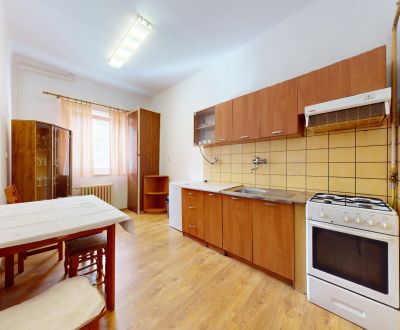 Na prenájom priestranná 1-izbová ubytovacia jednotka, Dlhé hony, TN