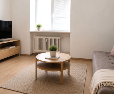Prenájom 1-izbového bytu po rekonštrukcii  | 28 m² | Záhradnícka