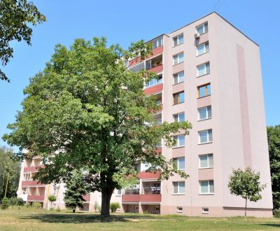 Budúce bývanie za dnešnú výhodnú cenu