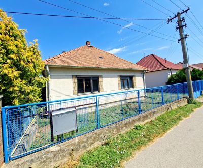 EXKLUZÍVNE Na predaj 3i rodinný dom, Dyčka - Vráble, pozemok 790m2