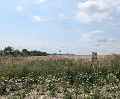 Stavebný pozemok 663 m2 v obci Štitáre s pekným výhľadom na Žibricu